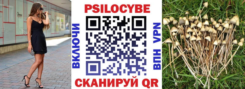 Галлюциногенные грибы ЛСД  купить наркотик  Апшеронск 